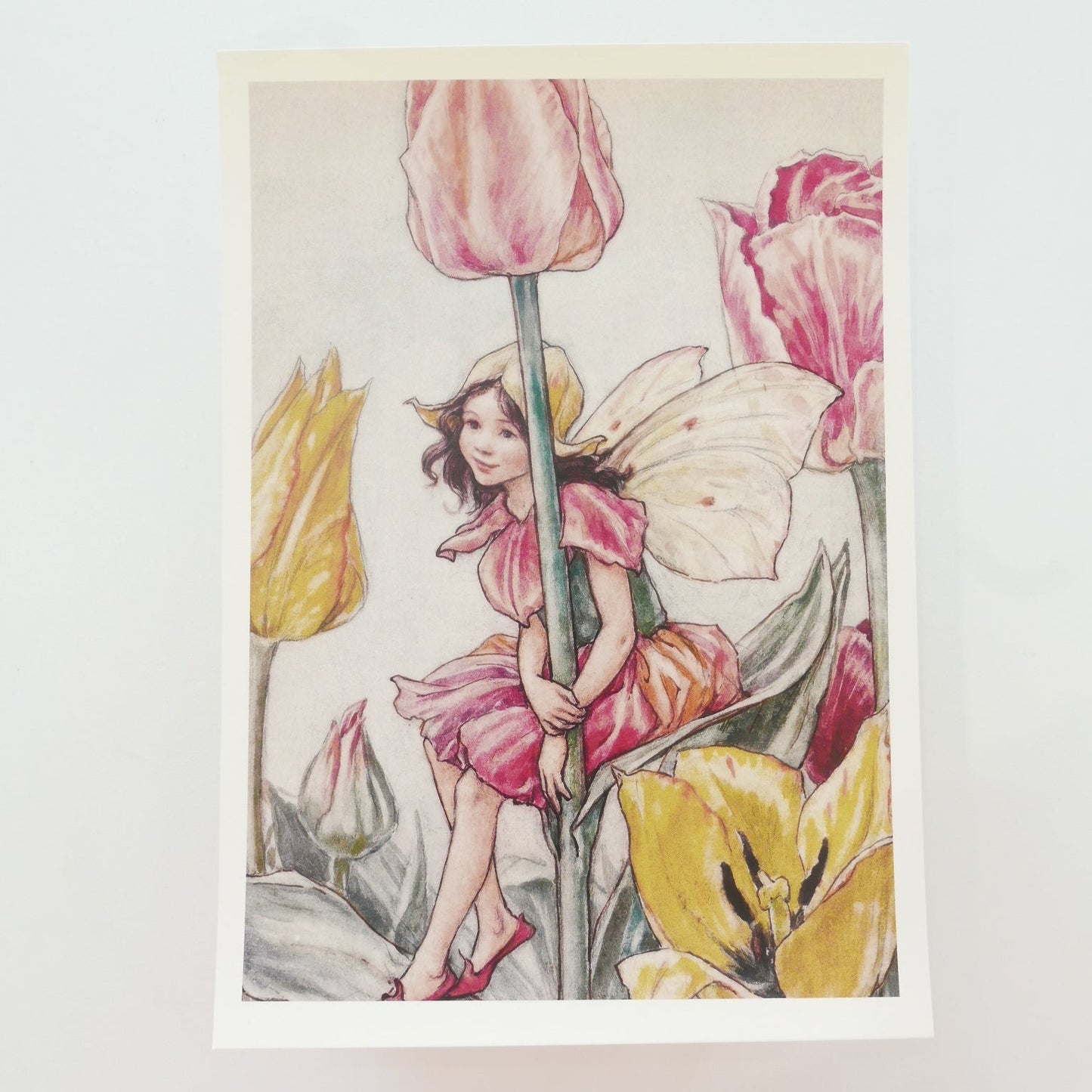 Flower Fairies Print - Tulip