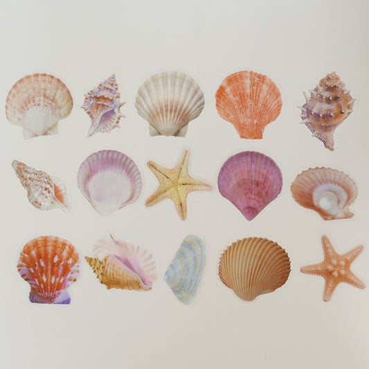She Shells Sea Shells Stickers