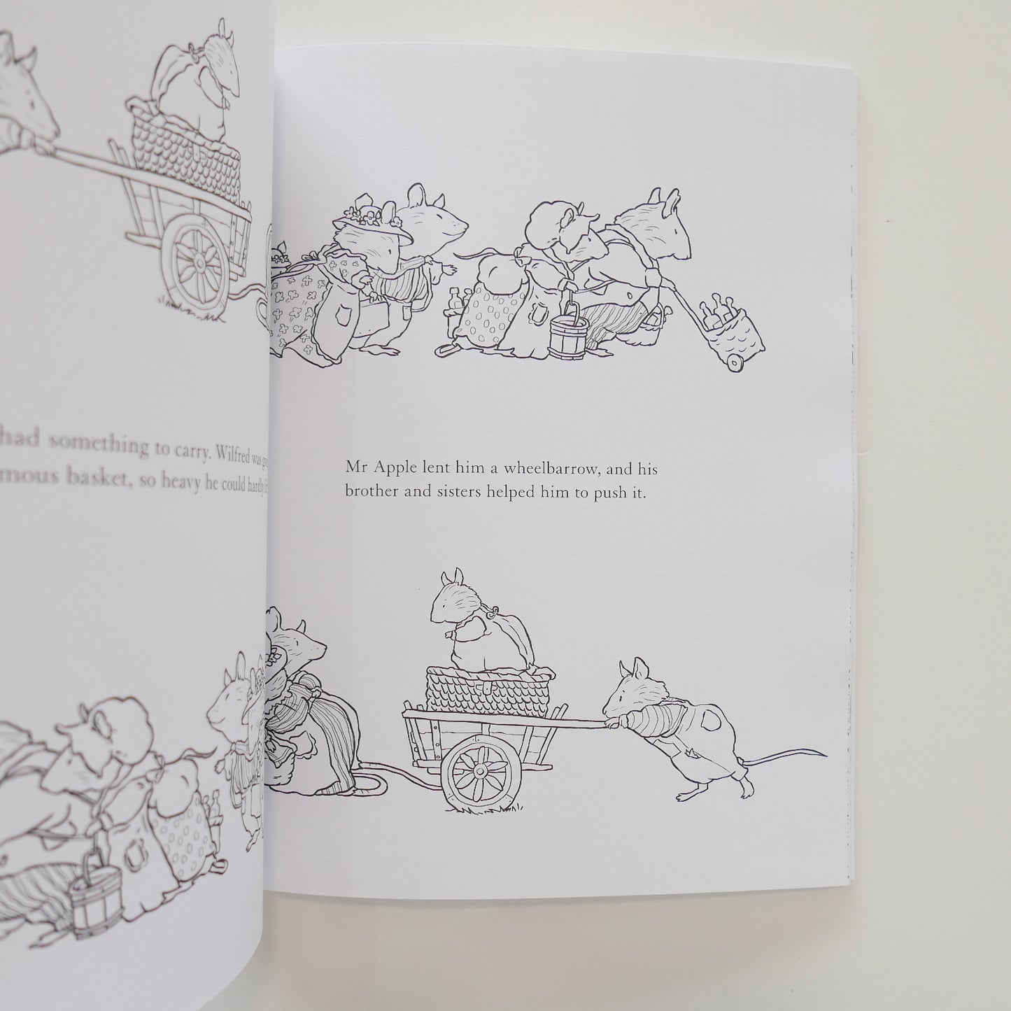 Brambly Hedge Nature Colouring Book