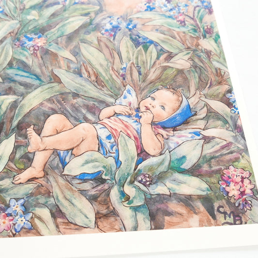 Flower Fairies Print - Forget Me Not