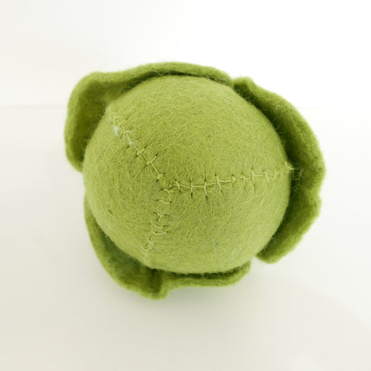 Felted Winter Vegetables
