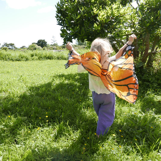 Dress up Wings - Various