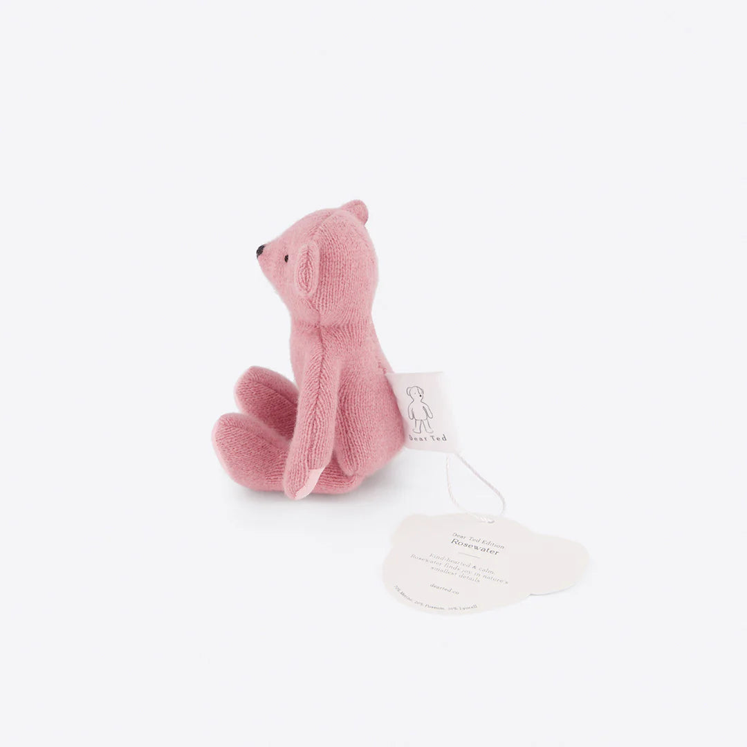 Little Ted Rosewater, a small handcrafted pink teddy bear, perfect for snuggles, nursery decor, or gifting, isolated on white