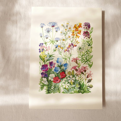 Snapdragon and Lobularia