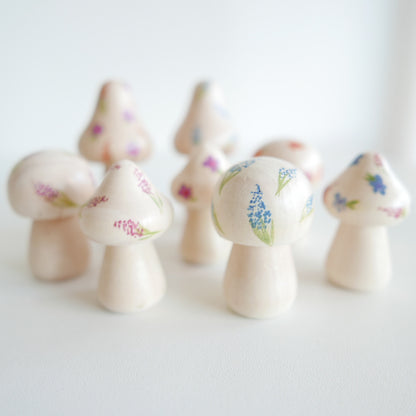 Flower Fairy Mushrooms
