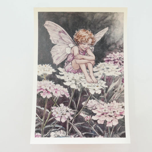 Flower Fairies Print - Queen Anne's Lace