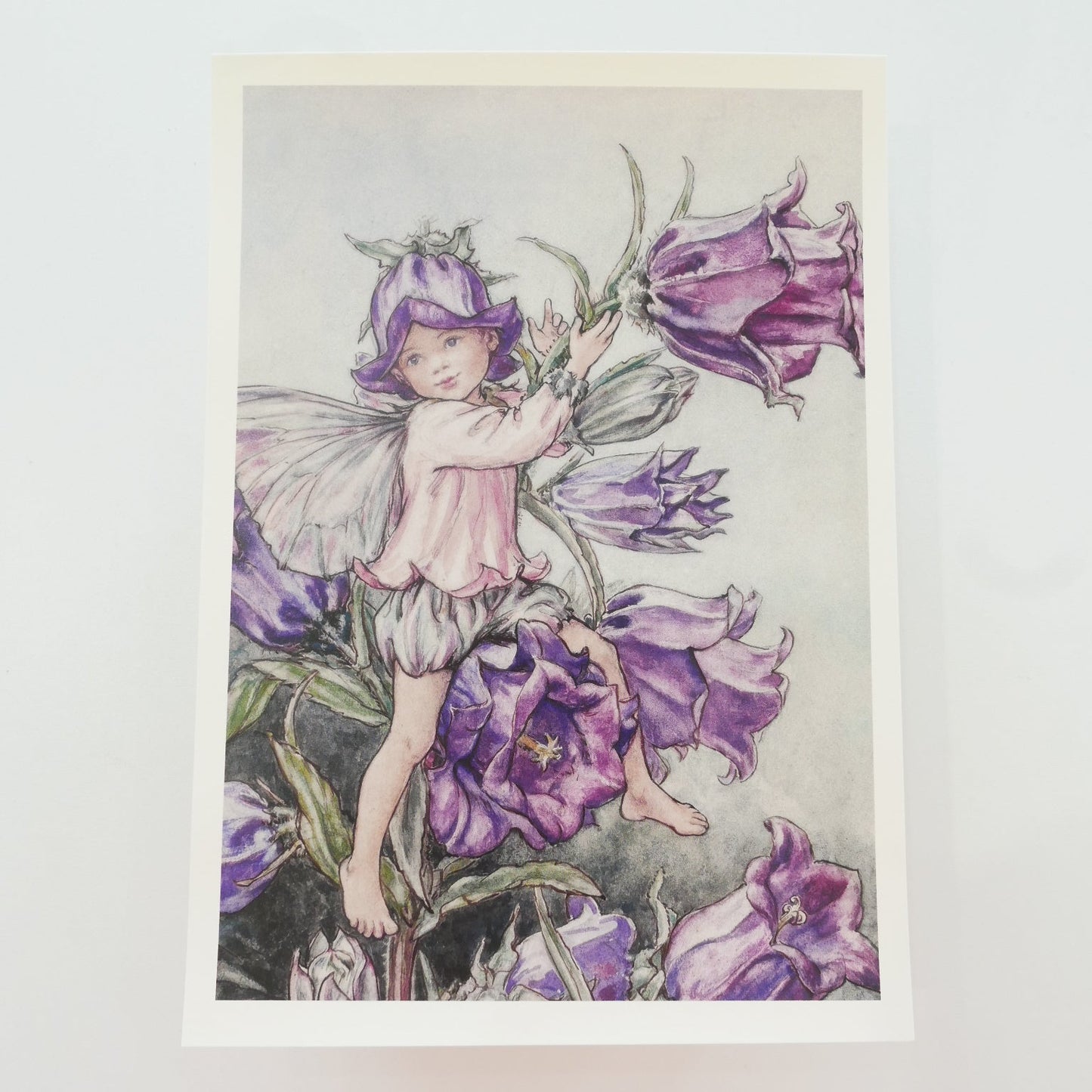 Flower Fairies Print - Bellflower
