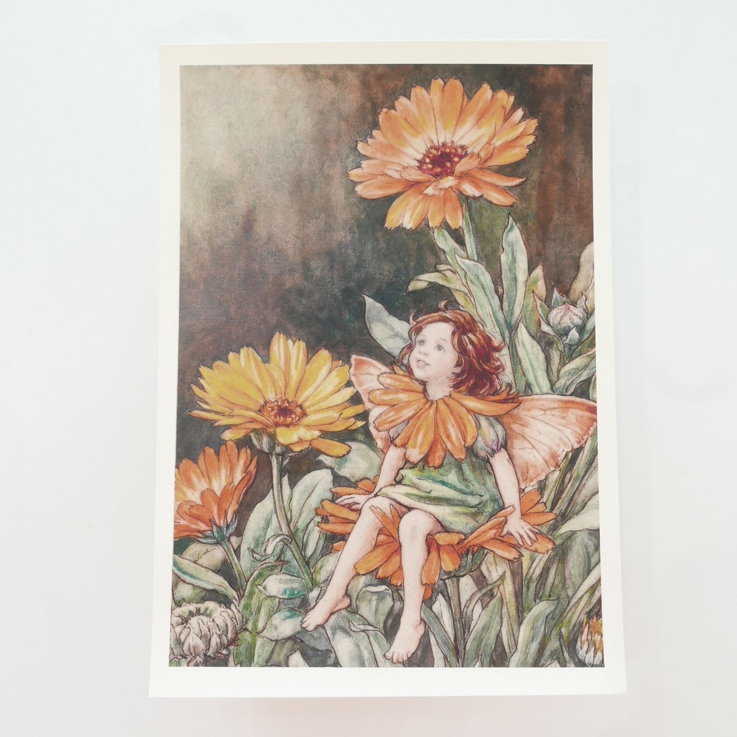 Flower Fairies Print - Calendula
