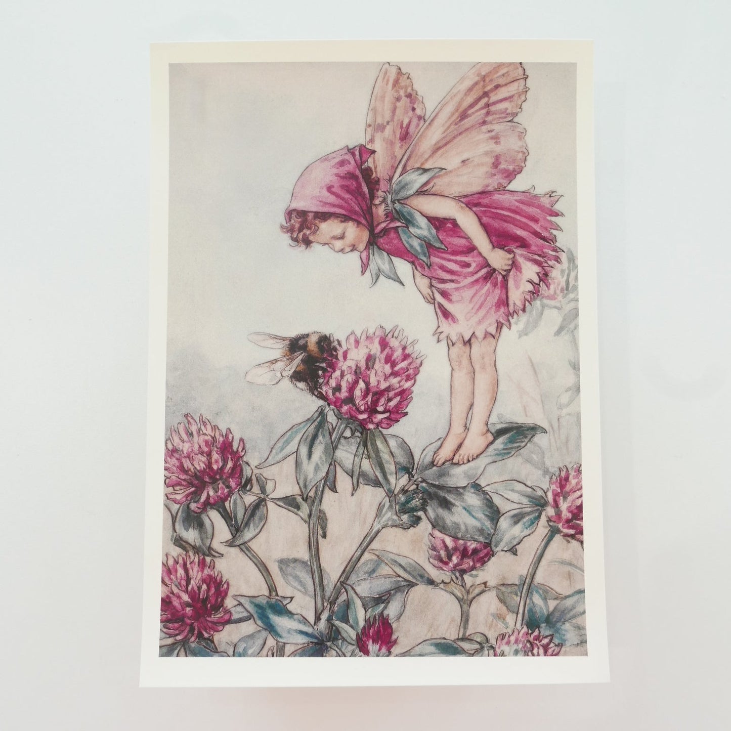 Flower Fairies Print - Clover