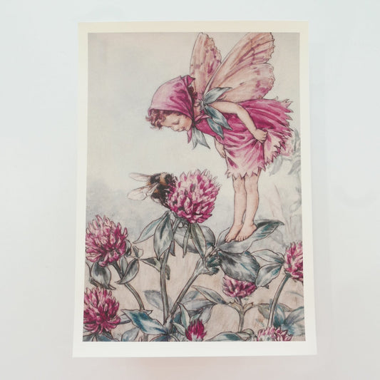 Flower Fairies Print - Clover