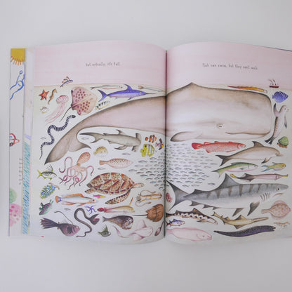 If you Come to Earth