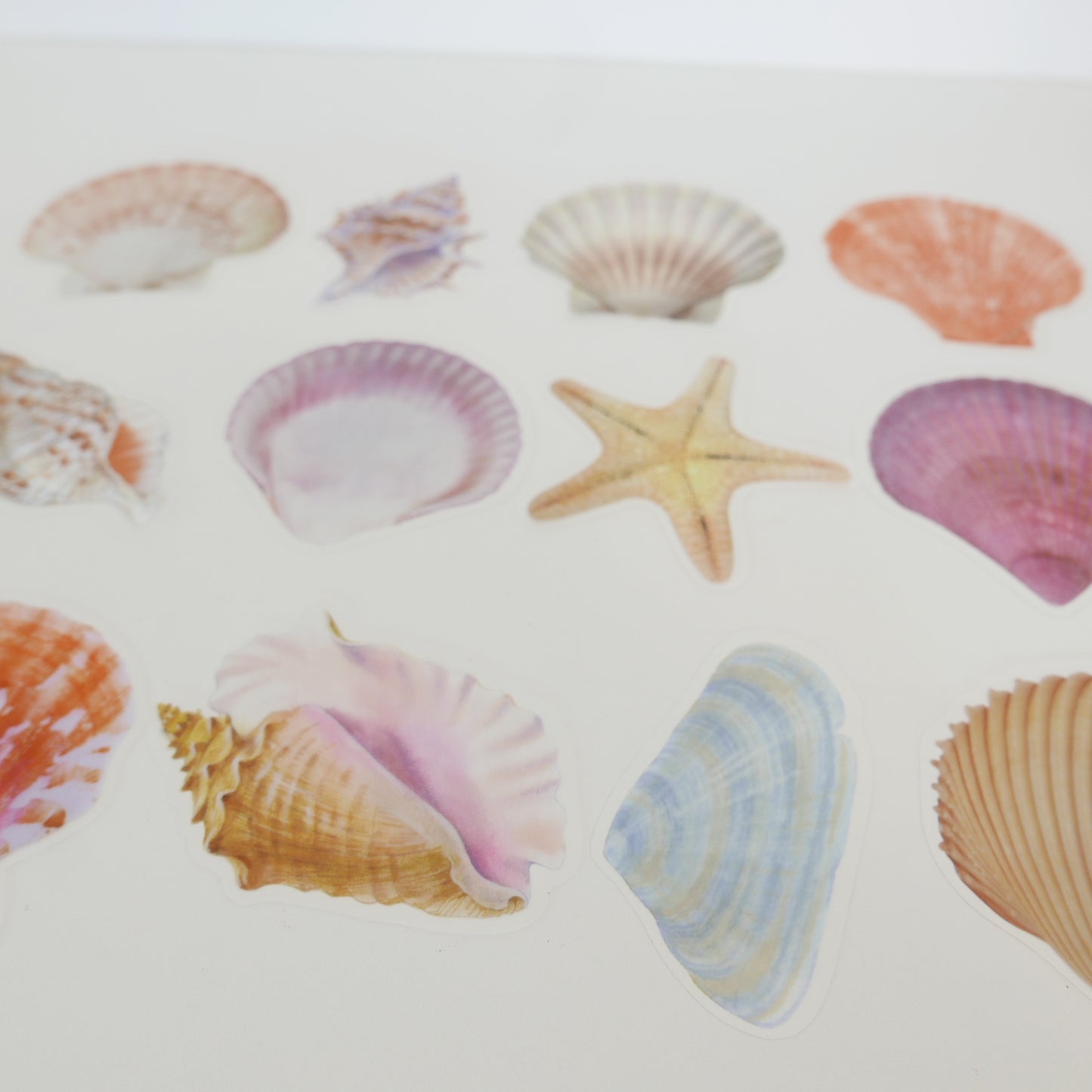 She Shells Sea Shells Stickers