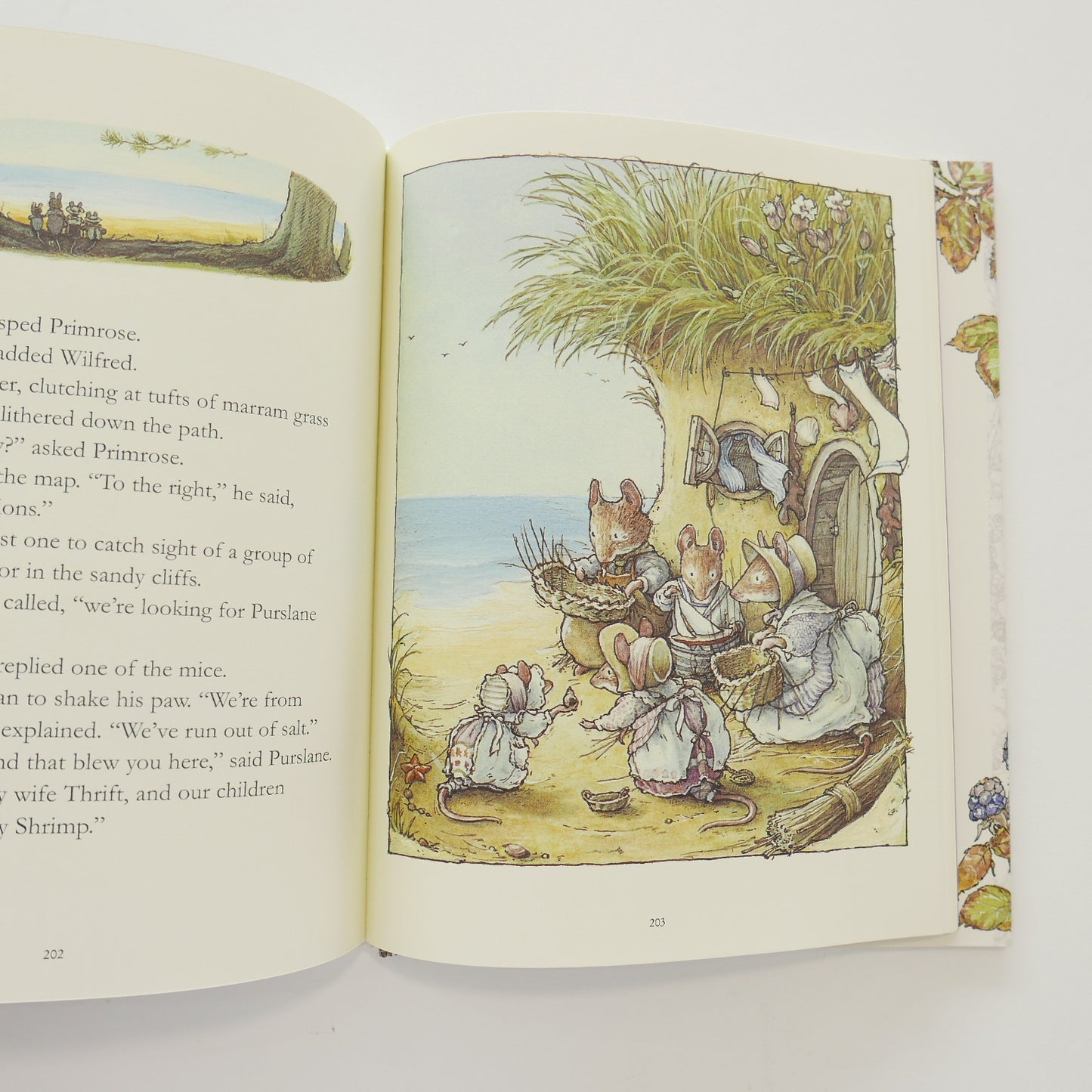 The Complete Brambly Hedge