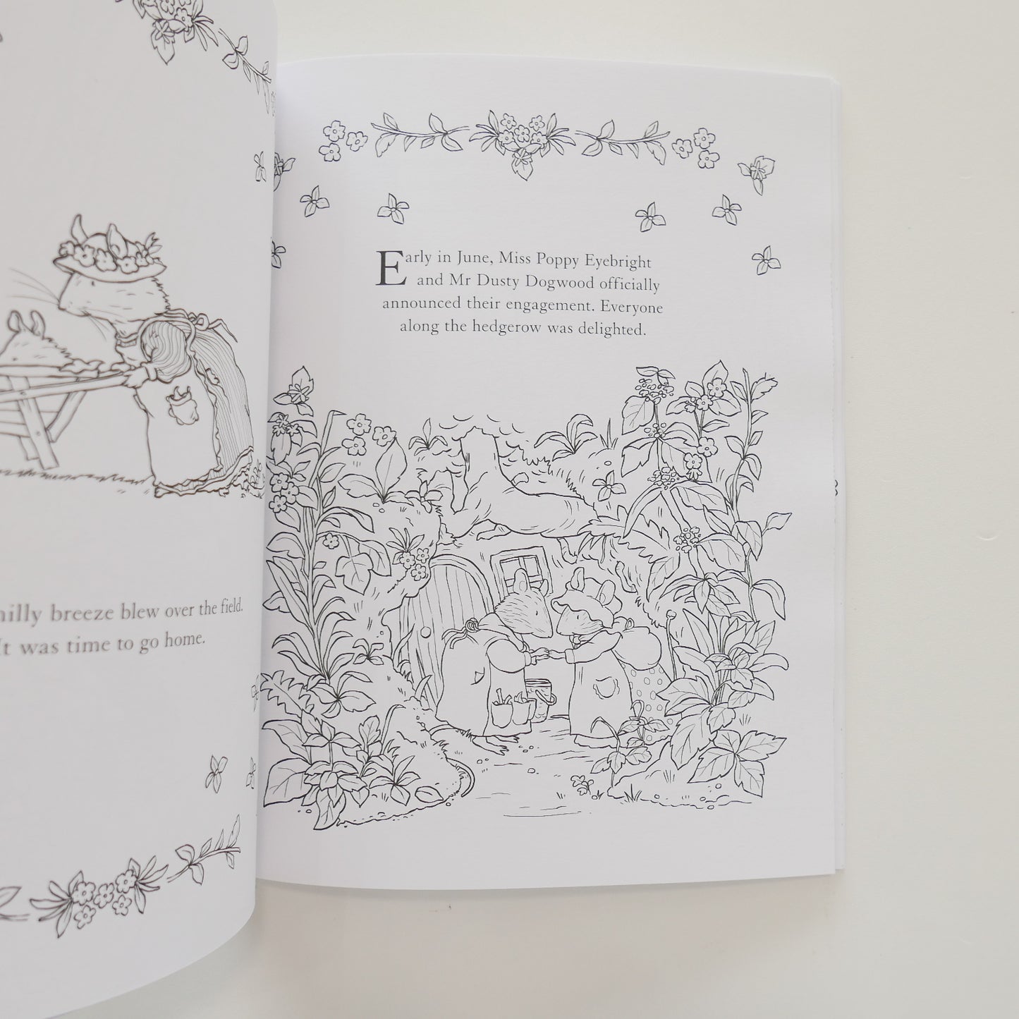 Brambly Hedge Nature Colouring Book