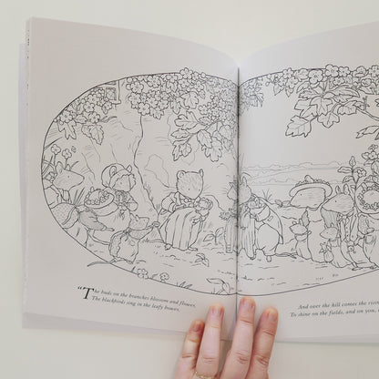 Brambly Hedge Nature Colouring Book