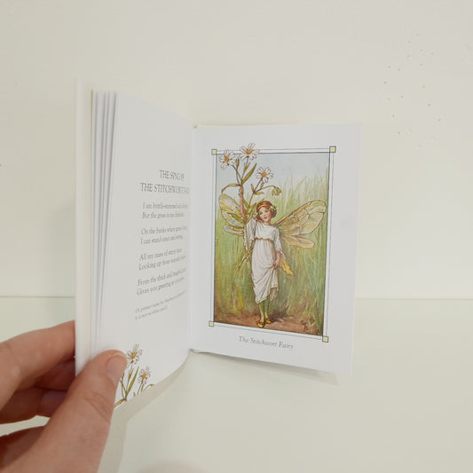 Flower Fairies of the Spring