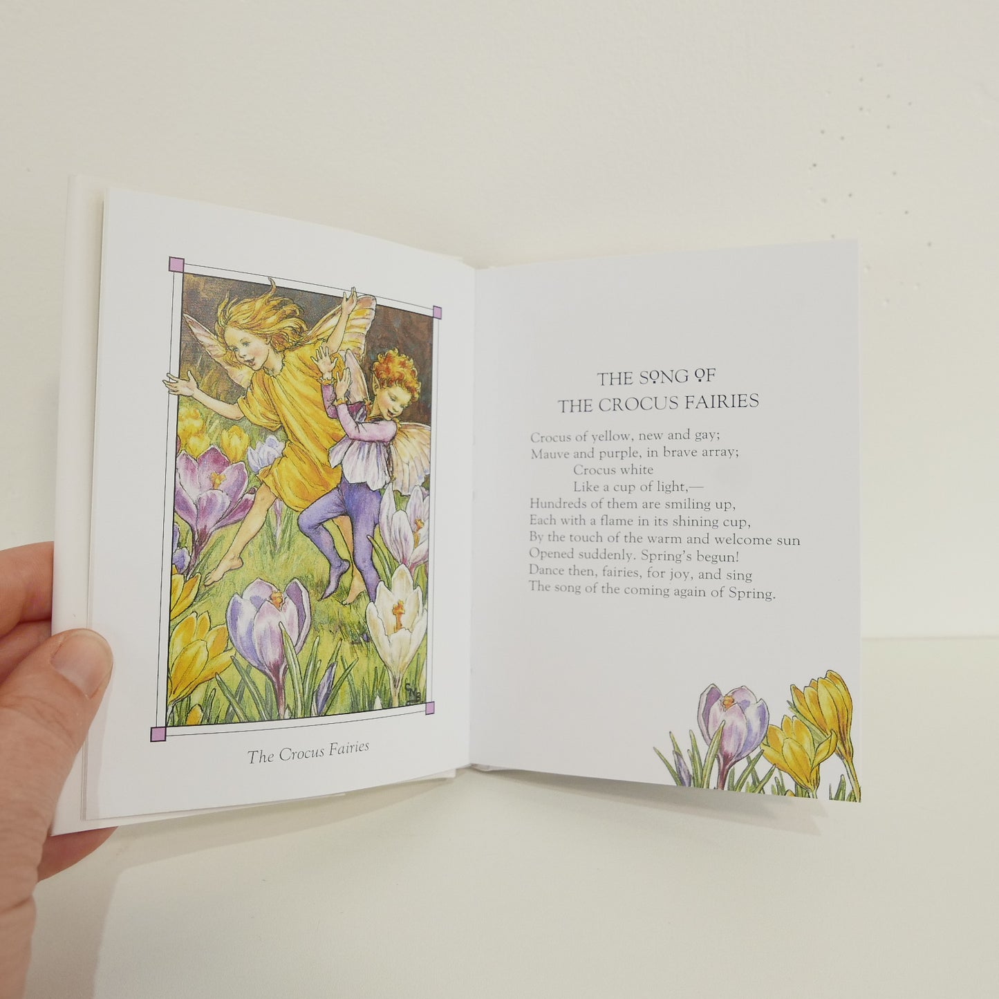 Flower Fairies of the Spring