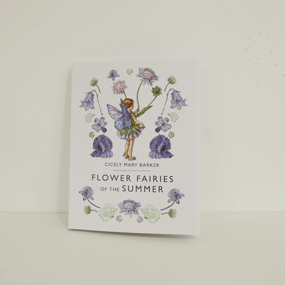 Flower Fairies of the Summer