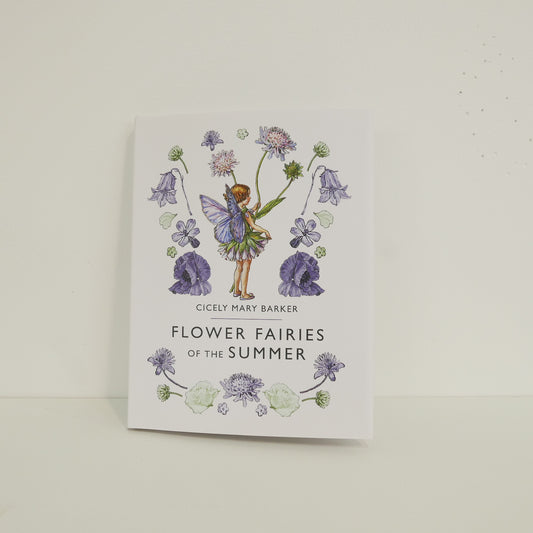 Flower Fairies of the Summer