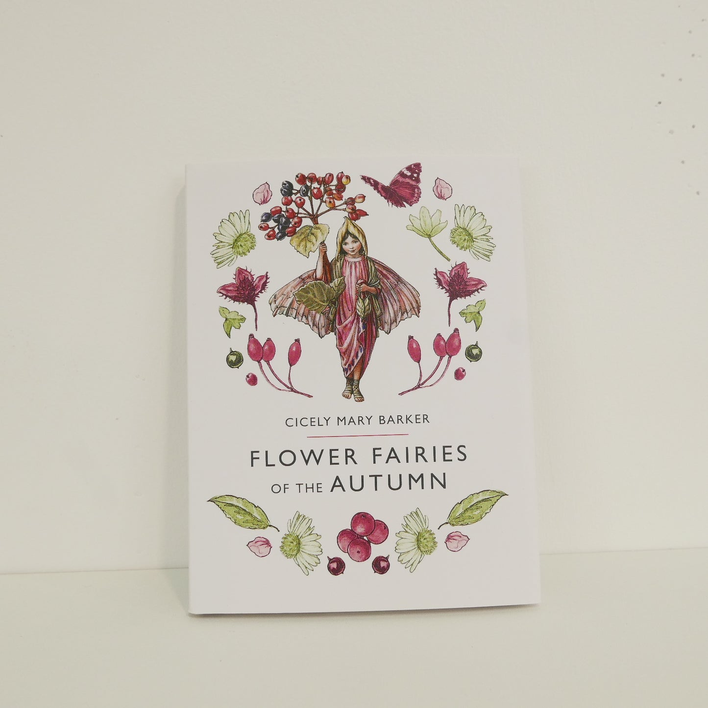 Flower Fairies of the Autumn