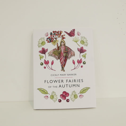 Flower Fairies of the Autumn