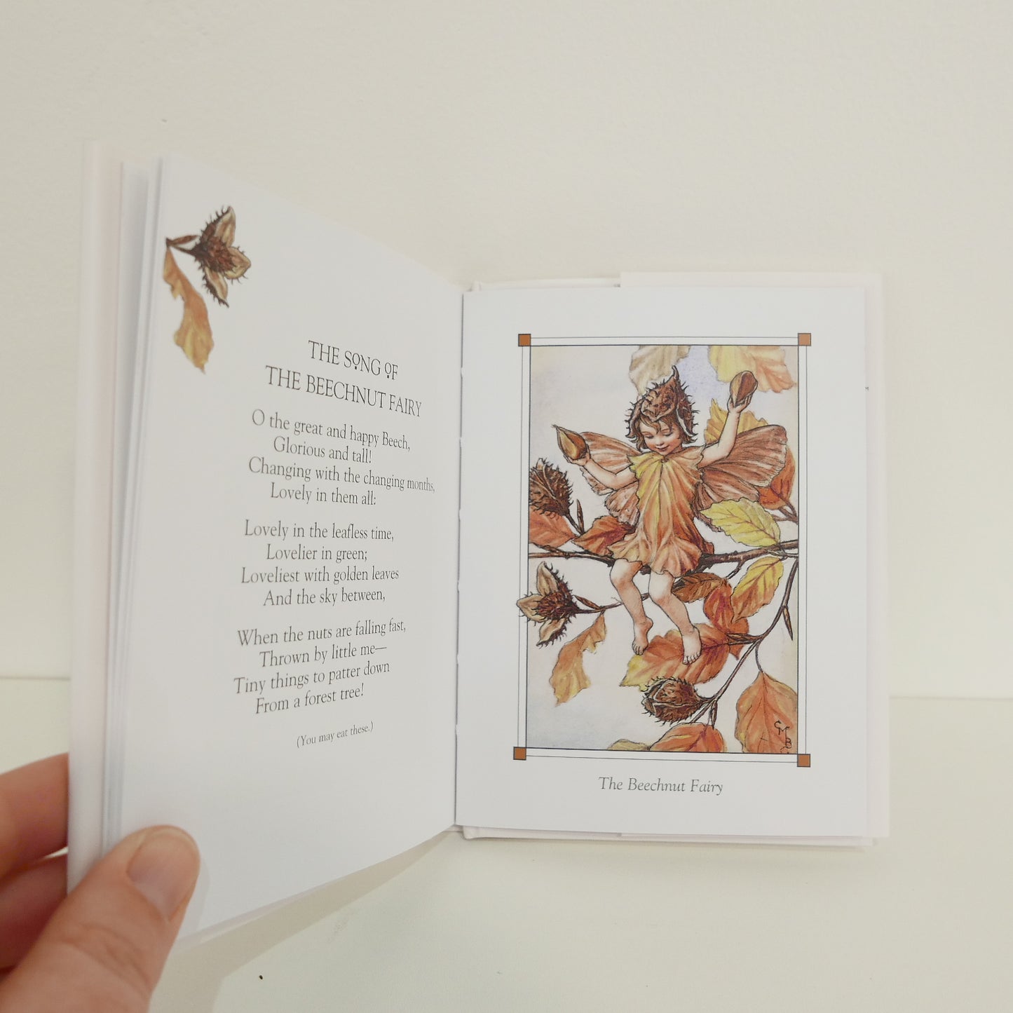 Flower Fairies of the Autumn