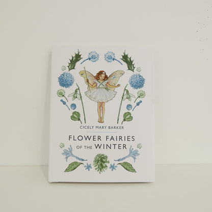 Flower Fairies of the Winter