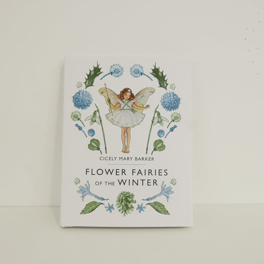 Flower Fairies of the Winter