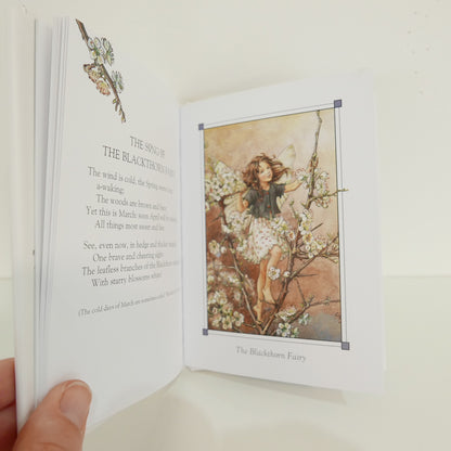 Flower Fairies of the Winter