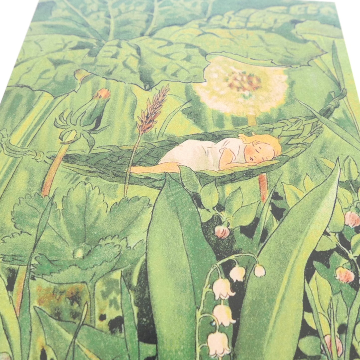 Sleeping Dandelion Print