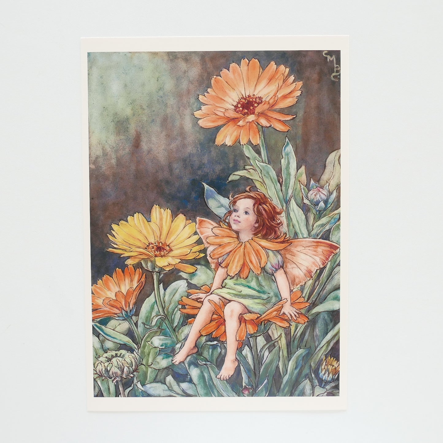 Flower Fairies Print - Calendula