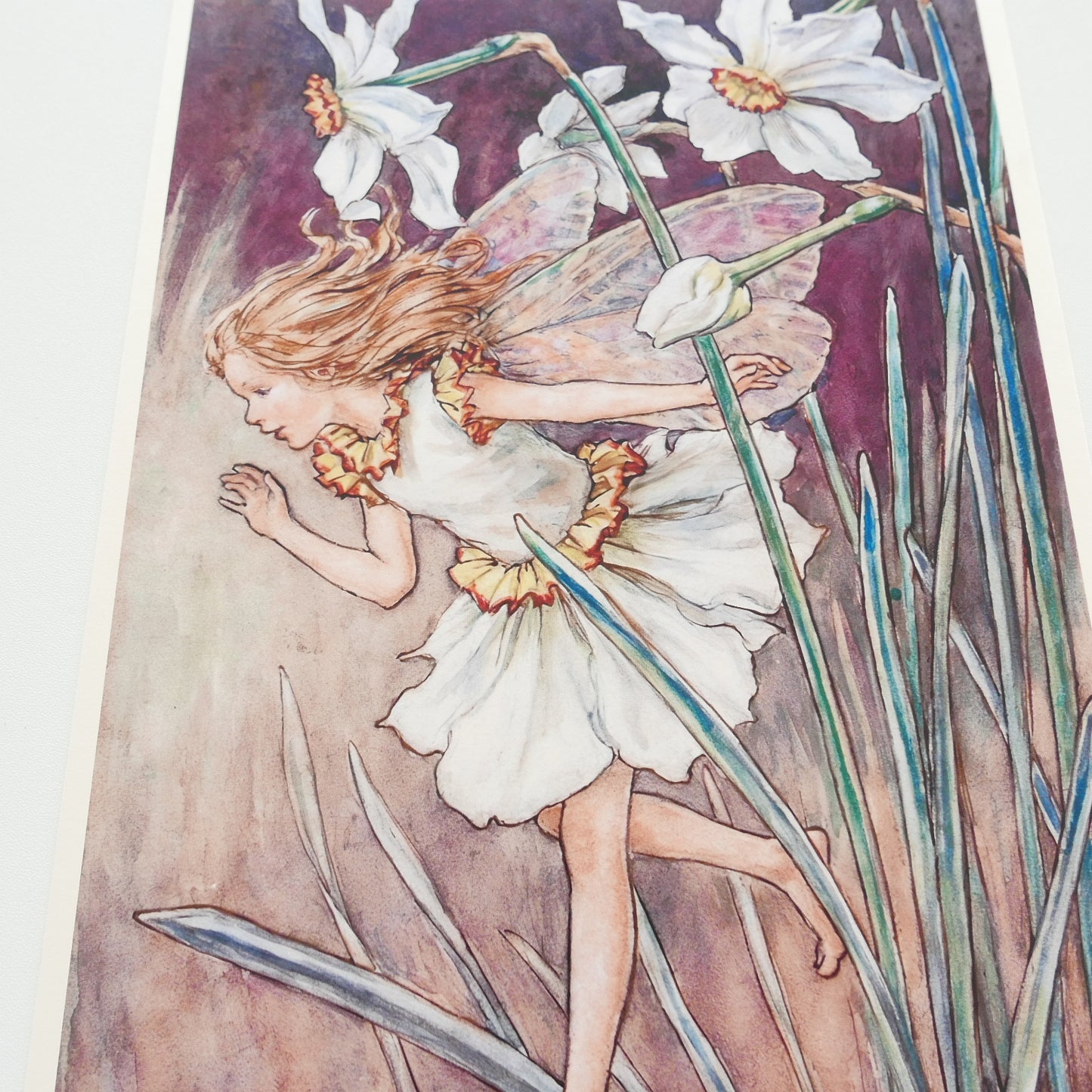 Flower Fairies Print - Daffodil