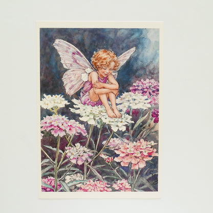 Flower Fairies Print - Queen Anne's Lace
