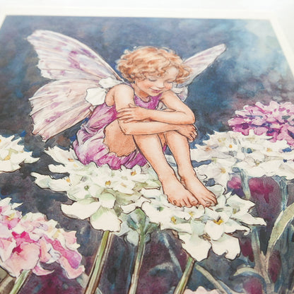 Flower Fairies Print - Queen Anne's Lace