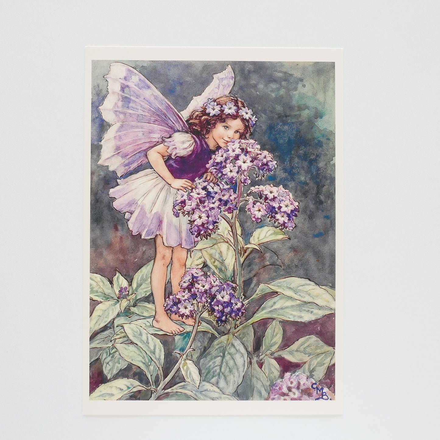 Flower Fairies Print - Verbena