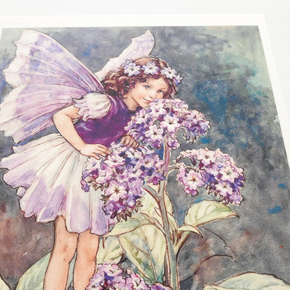 Flower Fairies Print - Verbena