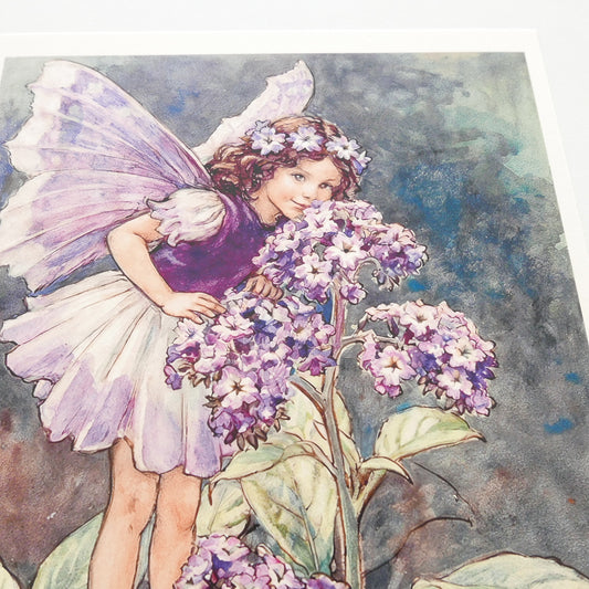 Flower Fairies Print - Verbena