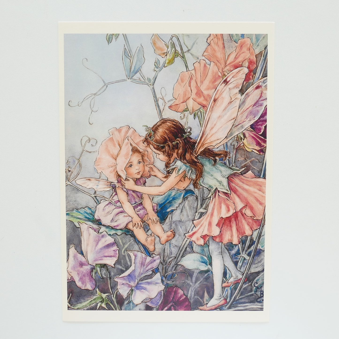 Flower Fairies Print - Sweet Pea