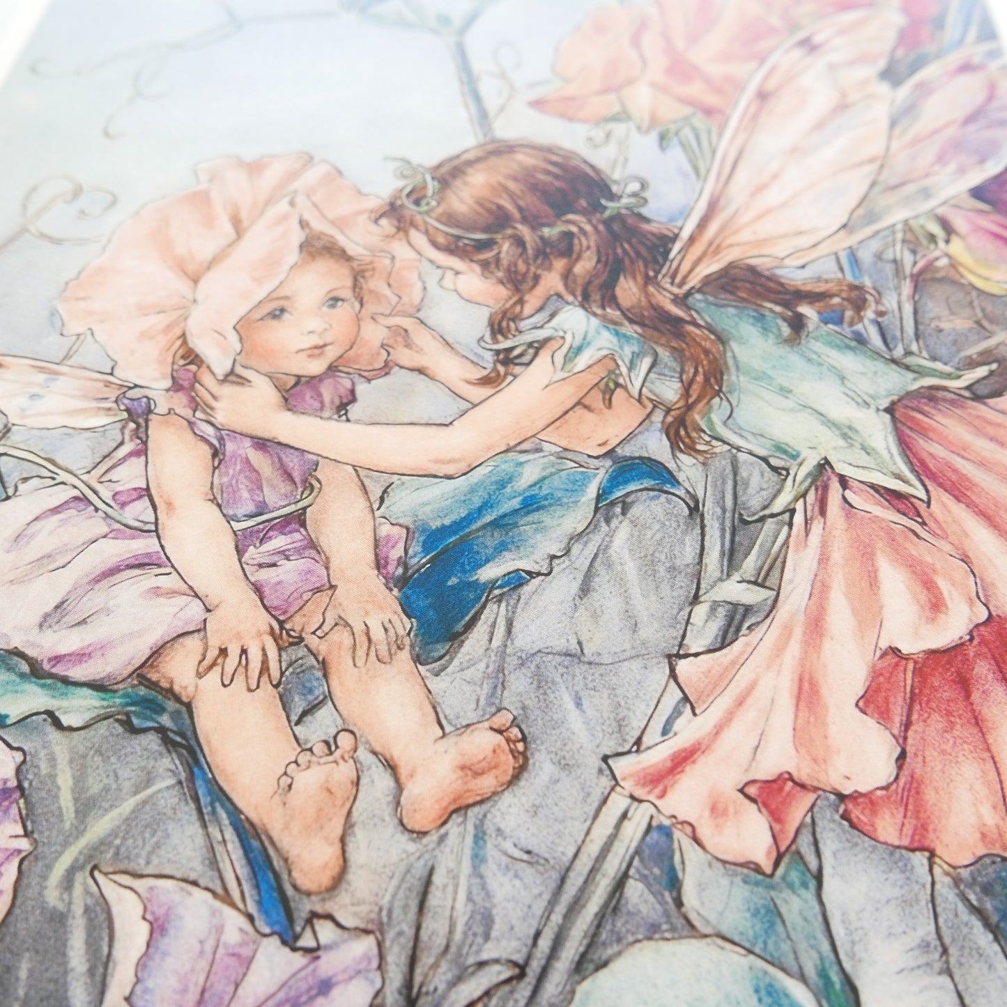 Flower Fairies Print - Sweet Pea