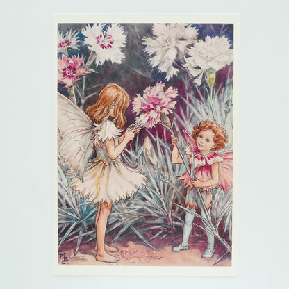 Flower Fairies Print - Carnation