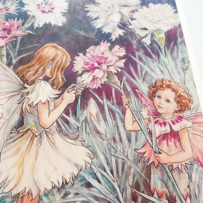 Flower Fairies Print - Carnation