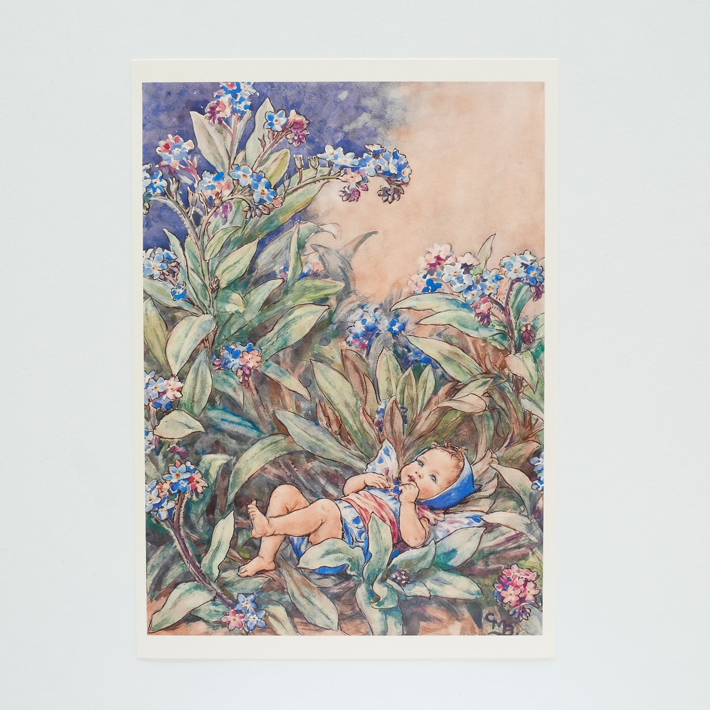 Flower Fairies Print - Forget Me Not