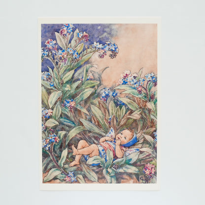 Flower Fairies Print - Forget Me Not