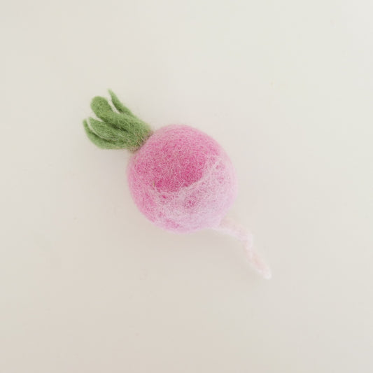 Felted Winter Vegetables