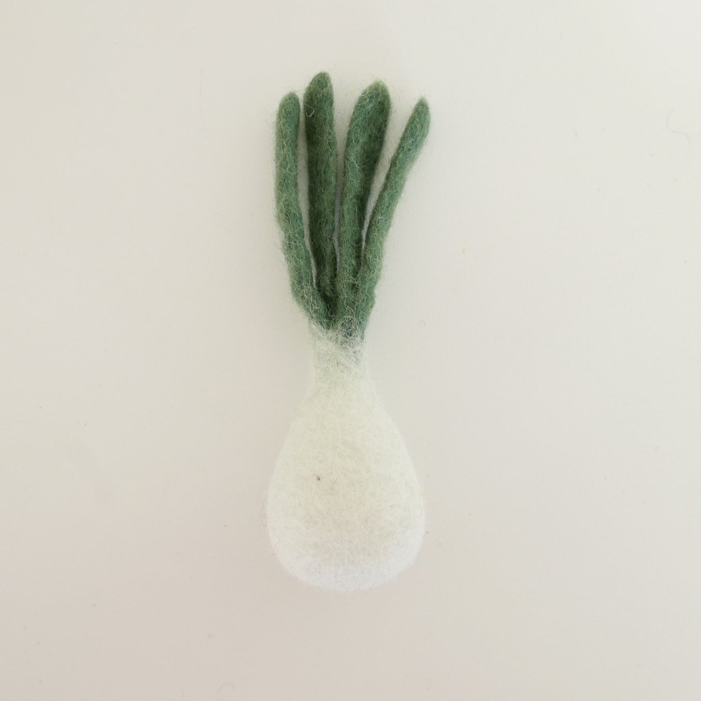 Felted Winter Vegetables