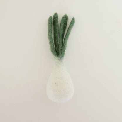 Felted Winter Vegetables