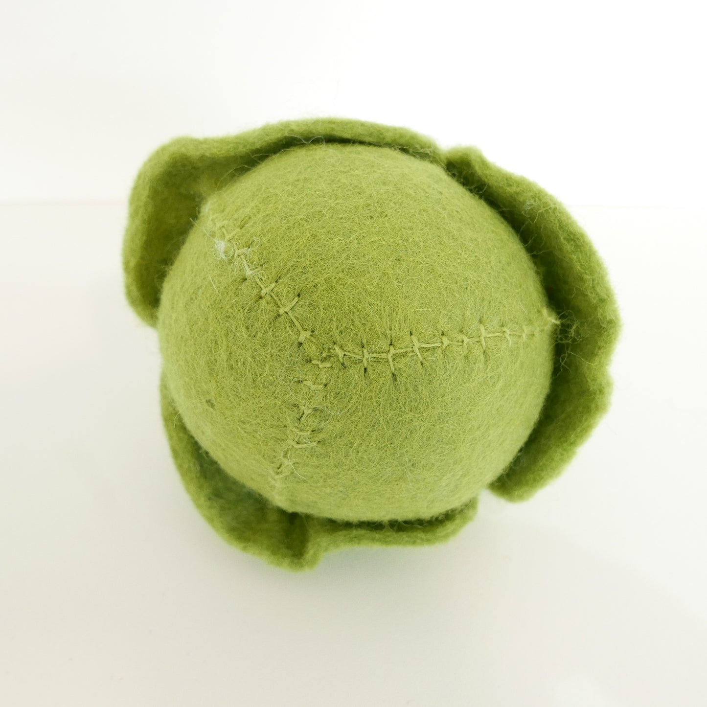 Felted Winter Vegetables