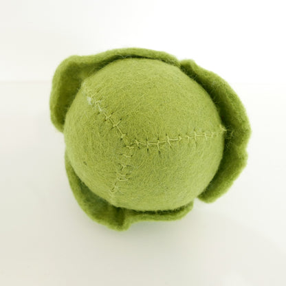Felted Winter Vegetables