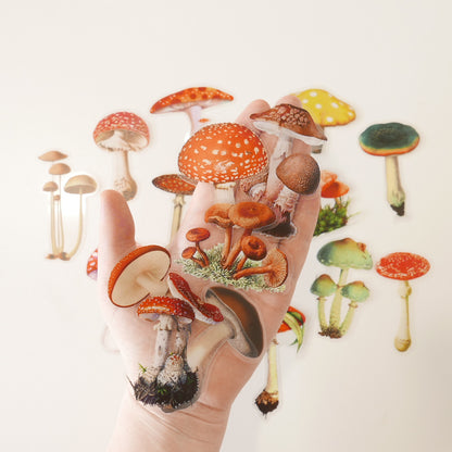 Mushroom Stickers