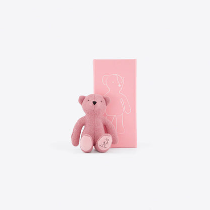 Pink teddy bear with a matching pink gift box on a white background